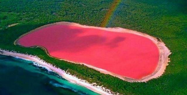  بحيرة هيلير هي بحيرة في أستراليا ، تتميز البحيرة بلونها الوردي الغامق ، الذي لا يتغير حتى عند نقله من البحيرة، ويعتقد العلماء أن سبب هذا اللون الوردي للبحيرة هو الطحالب الدقيقة “د