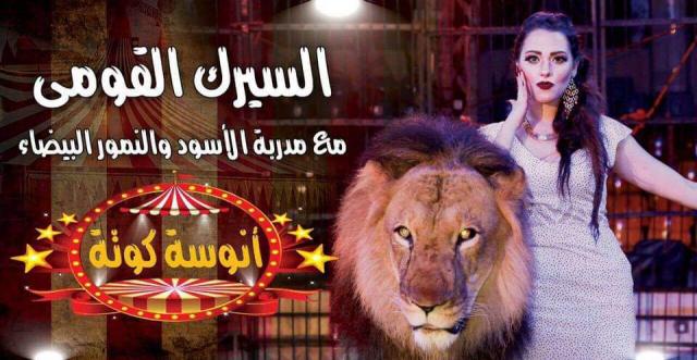 انوسه كوته